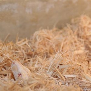 IMG_0153 (Small).JPG