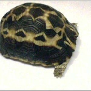 video 1 126_0001.jpg