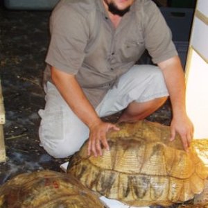 Copia  de P6040142.JPG