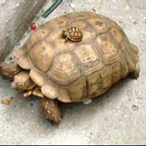 24_10_2078 7_56_0001.jpg