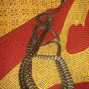 IMG_0465 (Medium).jpg