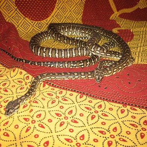 IMG_0468 (Small).jpg