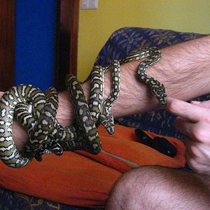 IMG_0515 (Medium).jpg