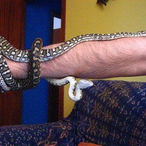 IMG_0511 (Medium).jpg