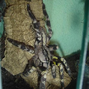 DSC05655 (Large).JPG