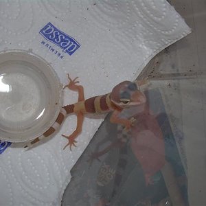 DSCN1311 (Small).JPG