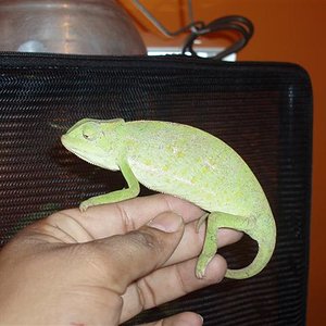 picture 056 (Small).jpg