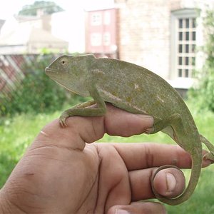 picture 060 (Small).jpg