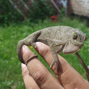 picture 062 (Small).jpg