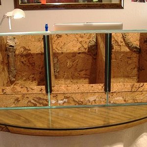 terrario intermedio.JPG