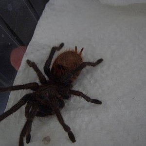 Vuelta Hamm 06!! 012.jpg