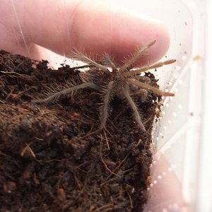 Vuelta Hamm 06!! 014.jpg