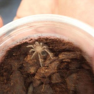 Vuelta Hamm 06!! 013.jpg