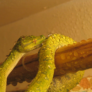 Resized Imagen 021.jpg