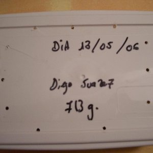 MONTA 16.03.2006 044.jpg