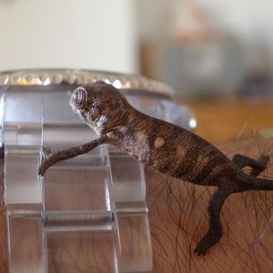 MONTA 16.03.2006 054.jpg