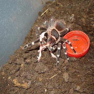 DSC02601 (Small).JPG