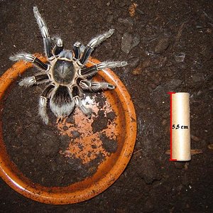 DSC03740 (Small).JPG