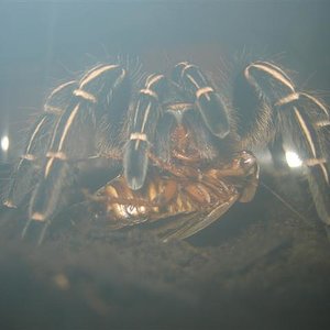 DSC01474 (Small).JPG