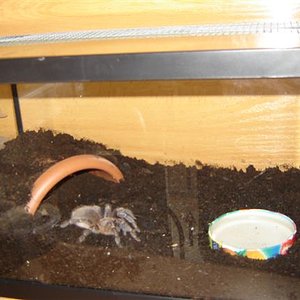 DSC04205 (Small).JPG