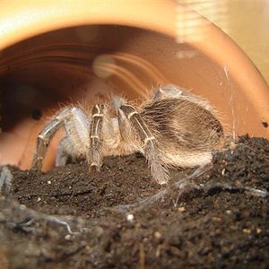 DSC04206 (Small).JPG