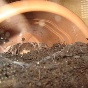 DSC04207 (Small).JPG