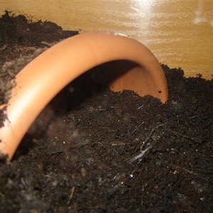 DSC04208 (Small).JPG