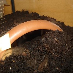 DSC04209 (Small).JPG