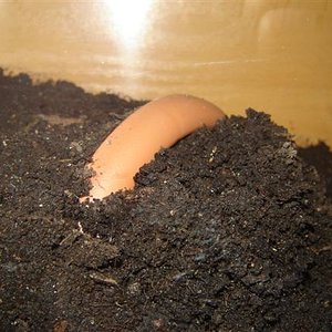 DSC04357 (Small).JPG