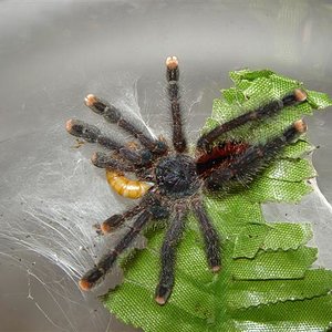 DSC00989 (Small).JPG