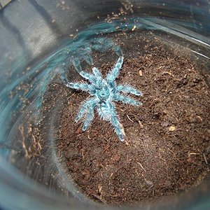 DSC02743 (Small).JPG