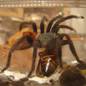 DSC03639 (Small).JPG