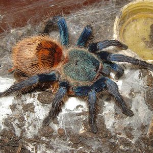 DSC03659 (Small).JPG