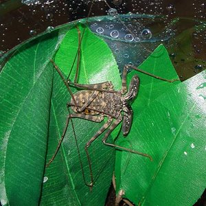 DSC02738 (Small).JPG