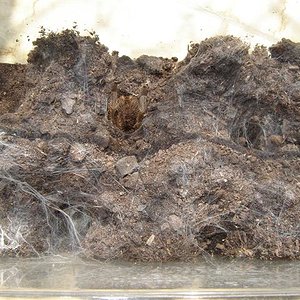 DSC01435 (Small).JPG