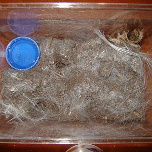 DSC01697 (Small).JPG