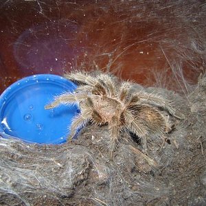 DSC01696 (Small).JPG