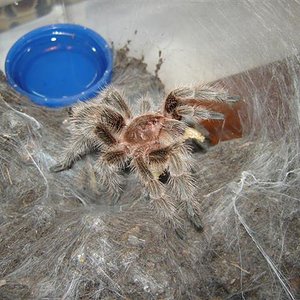 DSC02599 (Small).JPG