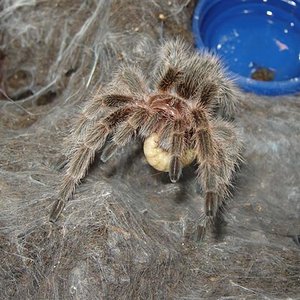 DSC02897 (Small).JPG