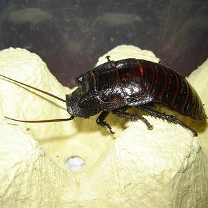 DSC02058 (Small).JPG