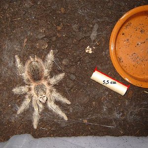 DSC03743 (Small).JPG