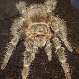 DSC01491 (Small).JPG