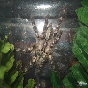 DSC01525 (Small).JPG