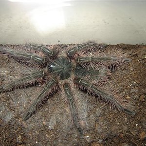 DSC01511 (Small).JPG