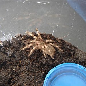 DSC04198 (Small).JPG