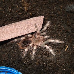 DSC04191 (Small).JPG