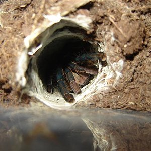 DSC02057 (Small).JPG