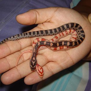 DSC03608 (Small).JPG