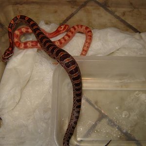 DSC04282 (Small).JPG