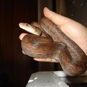 DSC03587 (Small).JPG